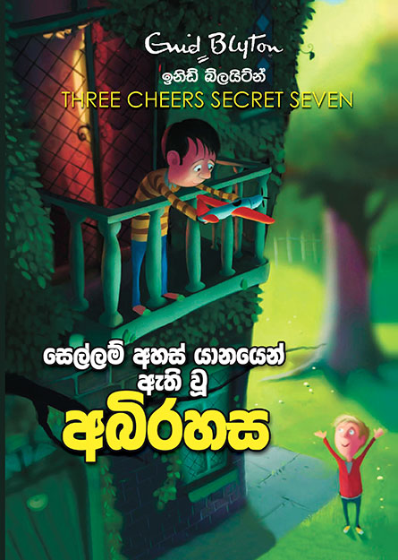 සෙල්ලම් අහස් යානයෙන් ඇති වූ අබිරහස