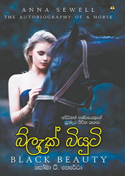 බ්ලැක් බියුටි