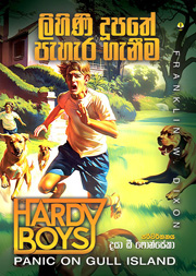 ලිහිණි දූපතේ පැහැර ගැනීම - හාර්ඩි බෝයිස්